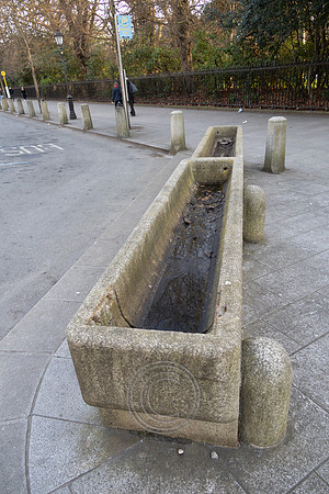FOOD TROUGH 2023-37