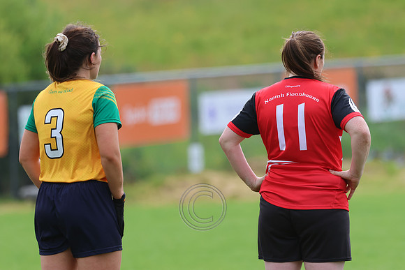 CLANN NA nGAEL V N FIONNBARRA-383