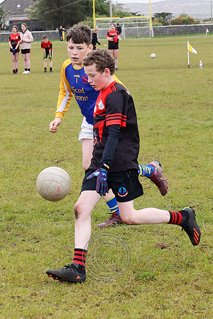 PEIL GAEL LINN-204