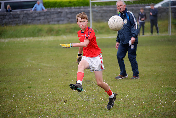 PEIL GAEL LINN-604