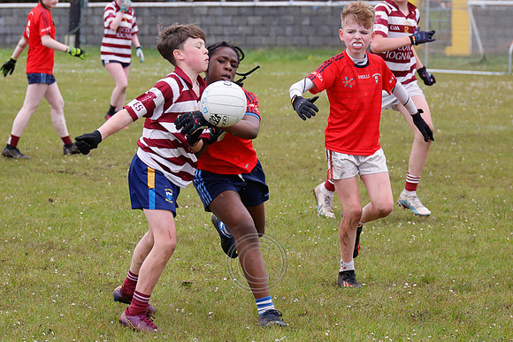 PEIL GAEL LINN-32