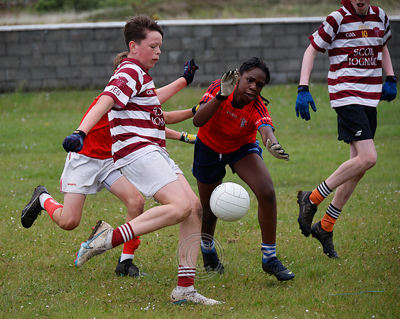 PEIL GAEL LINN-360