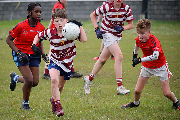 PEIL GAEL LINN-673