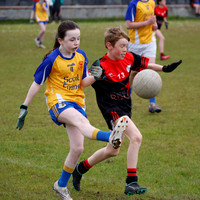 PEIL GAEL LINN-411