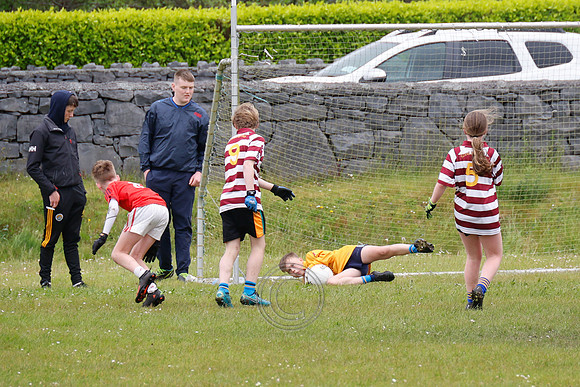 PEIL GAEL LINN-279