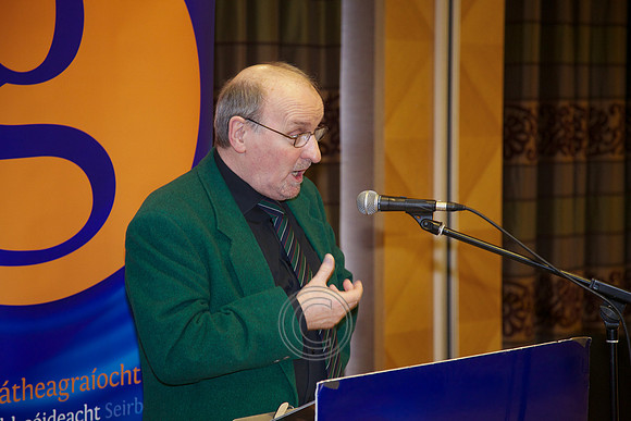 TOSTAL NA GAEILGE 2013-3129