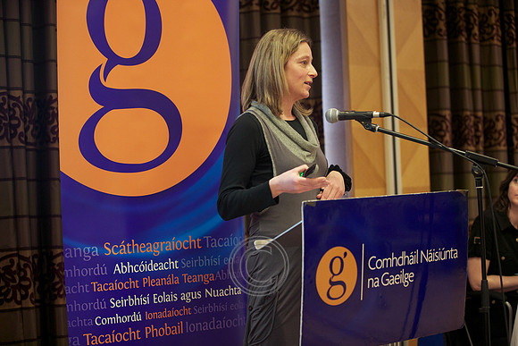 TOSTAL NA GAEILGE 2013-3196