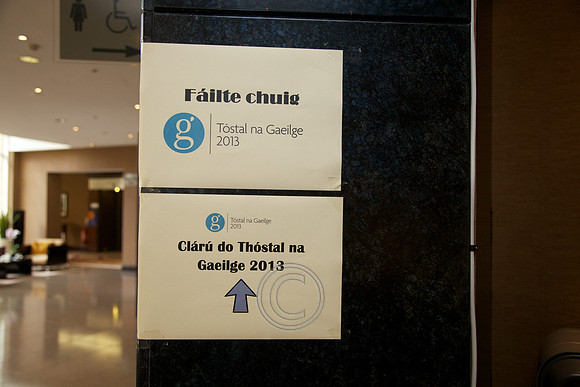 TOSTAL NA GAEILGE 2013-3308
