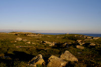SCANNÁN CRÉ NA CILLE 2006-8635