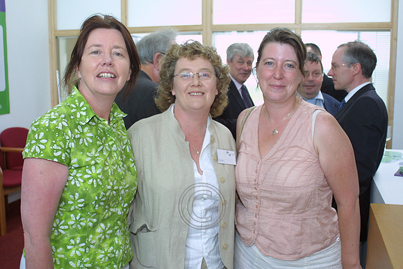 TRÍONA MHIC DHONNACHA 2006-8719