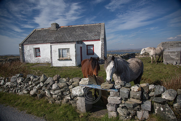 NahOileáin_2017-0198