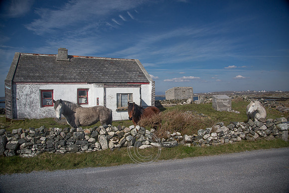 NahOileáin_2017-0221