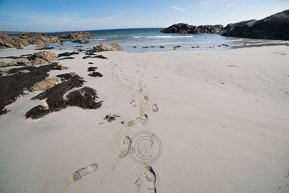 NahOileáin_2017-0072