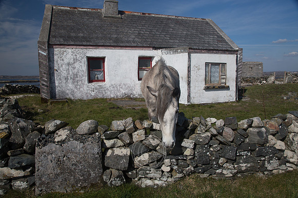 NahOileáin_2017-0222