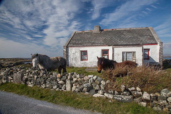NahOileáin_2017-0242