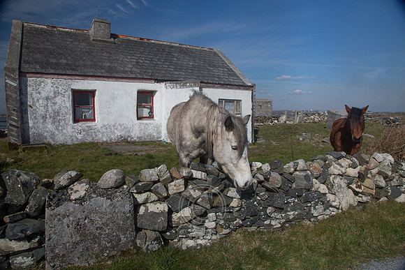 NahOileáin_2017-0225