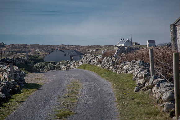 NahOileáin_2017-0185