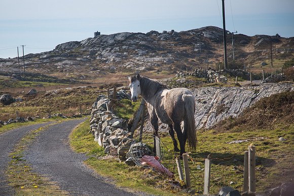 NahOileáin_2017-0164