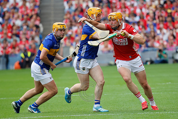 TIPP V CORK PLAY-0390