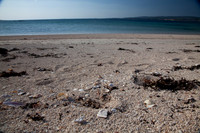 MANNIN BAY 2013-4293