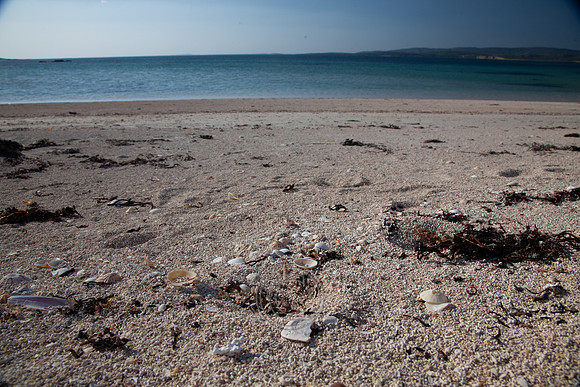 MANNIN BAY 2013-4293