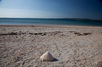 MANNIN BAY 2013-4295
