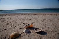 MANNIN BAY 2013-4297