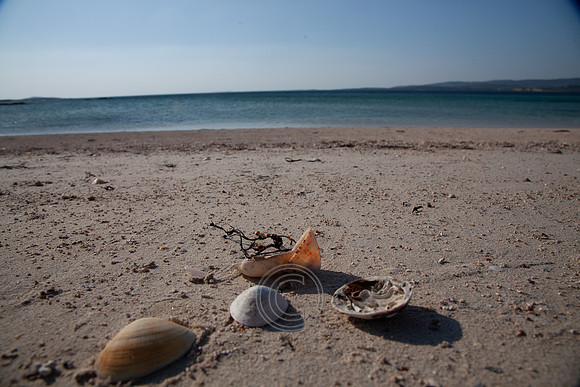 MANNIN BAY 2013-4297