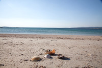 MANNIN BAY 2013-4301