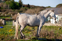MANNIN BAY 2013-4315