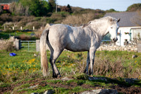 MANNIN BAY 2013-4317