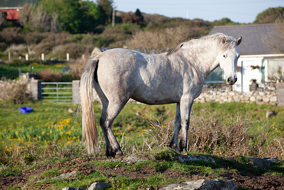 MANNIN BAY 2013-4317