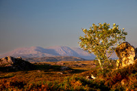 ROUNDSTONE BOG CLOCH NA RÓN 2013
