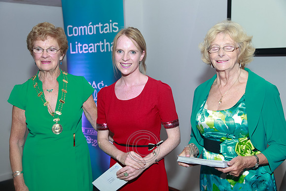 COMÓRTAS LITEARTHA AN OIREACHTAIS 2013-2214