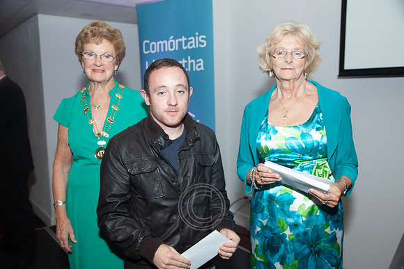 COMÓRTAS LITEARTHA AN OIREACHTAIS 2013-2221