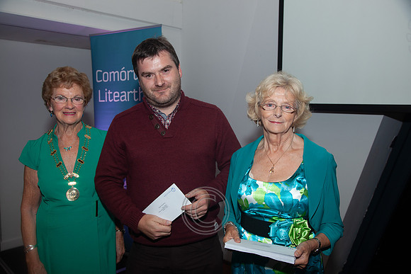 COMÓRTAS LITEARTHA AN OIREACHTAIS 2013-2229
