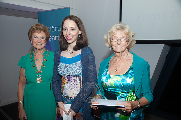 COMÓRTAS LITEARTHA AN OIREACHTAIS 2013-2238