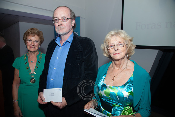 COMÓRTAS LITEARTHA AN OIREACHTAIS 2013-2252