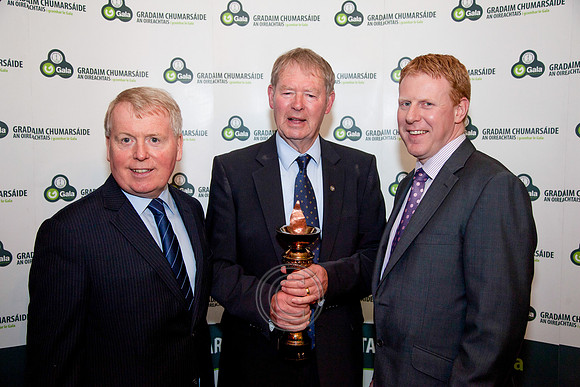 GRADAIM CHUMARSÁIDE AN OIREACHTAIS 2011-171