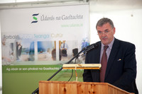 IONAD CÚRAIM LEANAÍ CARNA 2013-0166