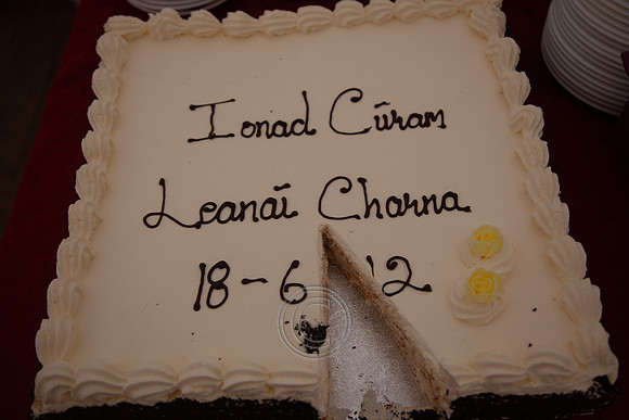 IONAD CÚRAIM LEANAÍ CARNA 2013-0196