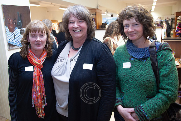 NETWORK CONAMARA 2013-006