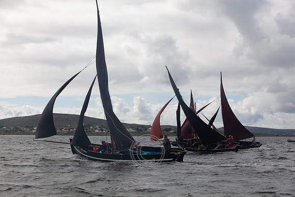 CRUINNIÚ BÁD BÉAL A' DAINGEAN 2013-0243