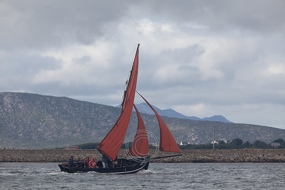 CRUINNIÚ BÁD BÉAL A' DAINGEAN 2013-0275