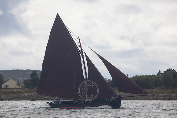 CRUINNIÚ BÁD BÉAL A' DAINGEAN 2013-0284
