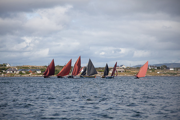 CRUINNIÚ BÁD BÉAL A' DAINGEAN 2013-0356