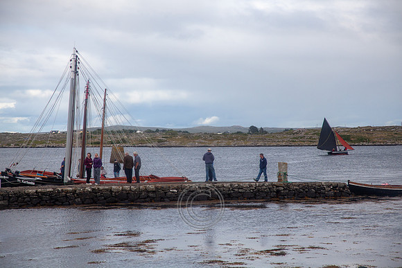 CRUINNIÚ BÁD BÉAL A' DAINGEAN 2013-0393