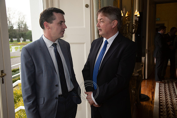 RÓNÁN Ó DOMHNAILL ÁRAS 2014-0017