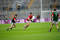 AN DAINGEAN IMIRT-0382