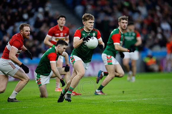 AN DAINGEAN IMIRT-0742